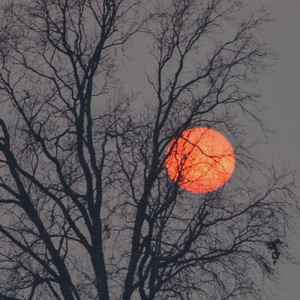 亚洲精品福利入口在线
