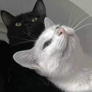 亚洲精品福利入口在线
